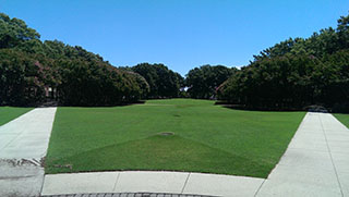 campus green space